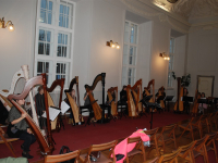 Harfistični koncert